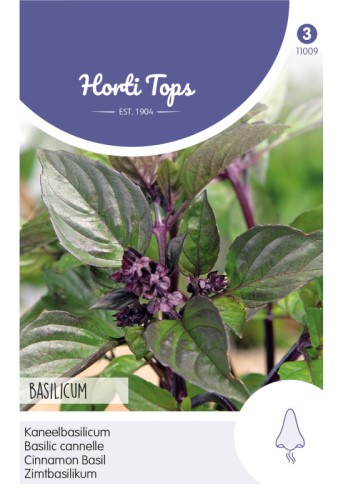 Basil Cinnamon Herb Seeds
